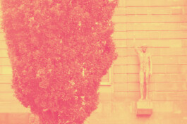 Netzwerk Paulskirche