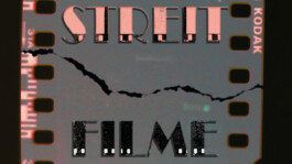 Netzwerk Paulskirche